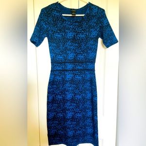 Ann Taylor vintage styled modern sweater dress!